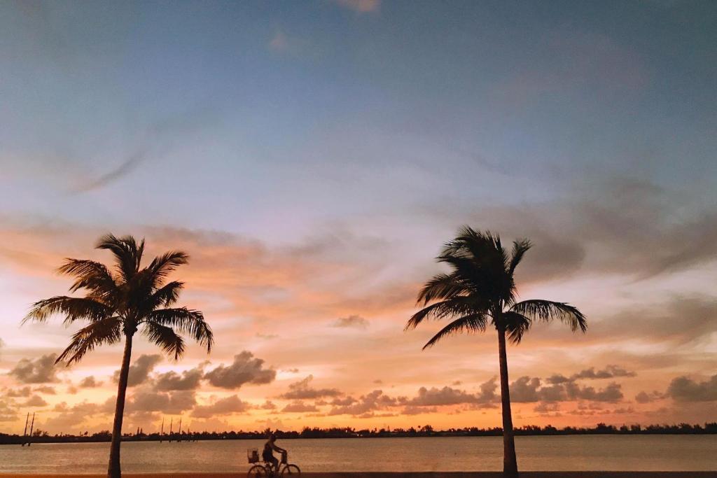 zwei Palmen und eine Person, die bei Sonnenuntergang Fahrrad fährt in der Unterkunft Four Flowers Guesthouse in Key West