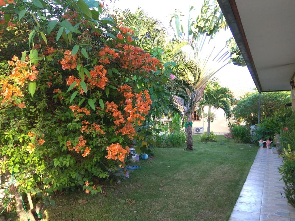 een tuin met oranje bloemen op een struik bij Stella Resort in Sam Roi Yot