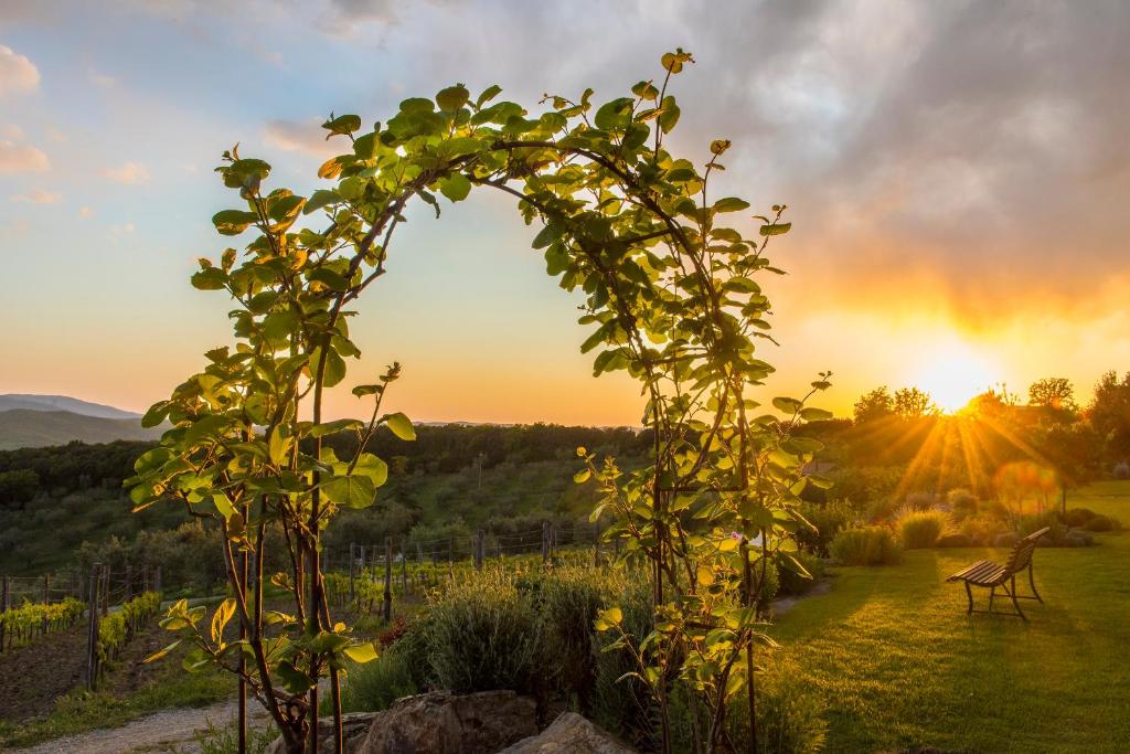 an arch in a field with the sunset in the background at Sequerciani in Tatti