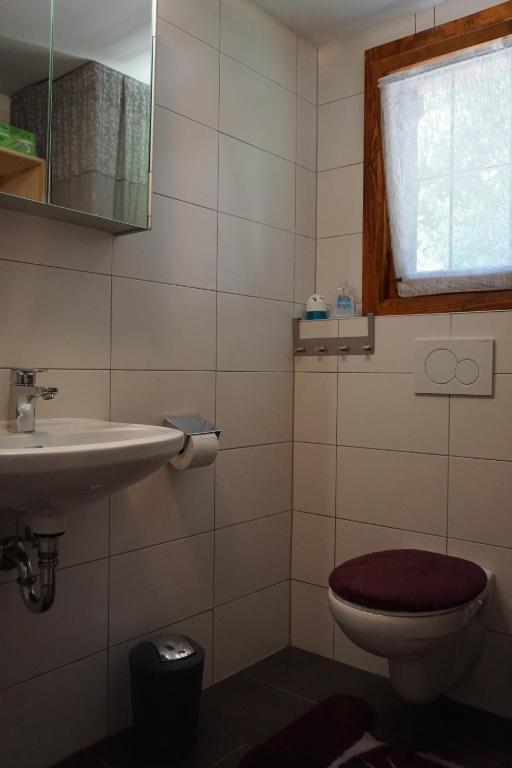 Koupelna v ubytování Chalet Katrin