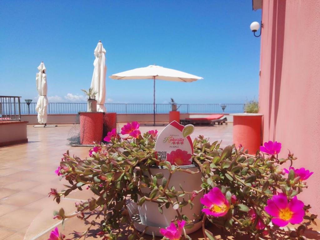 a view of a patio with flowers and an umbrella at Agriturismo Agri Armonia in San Lucido