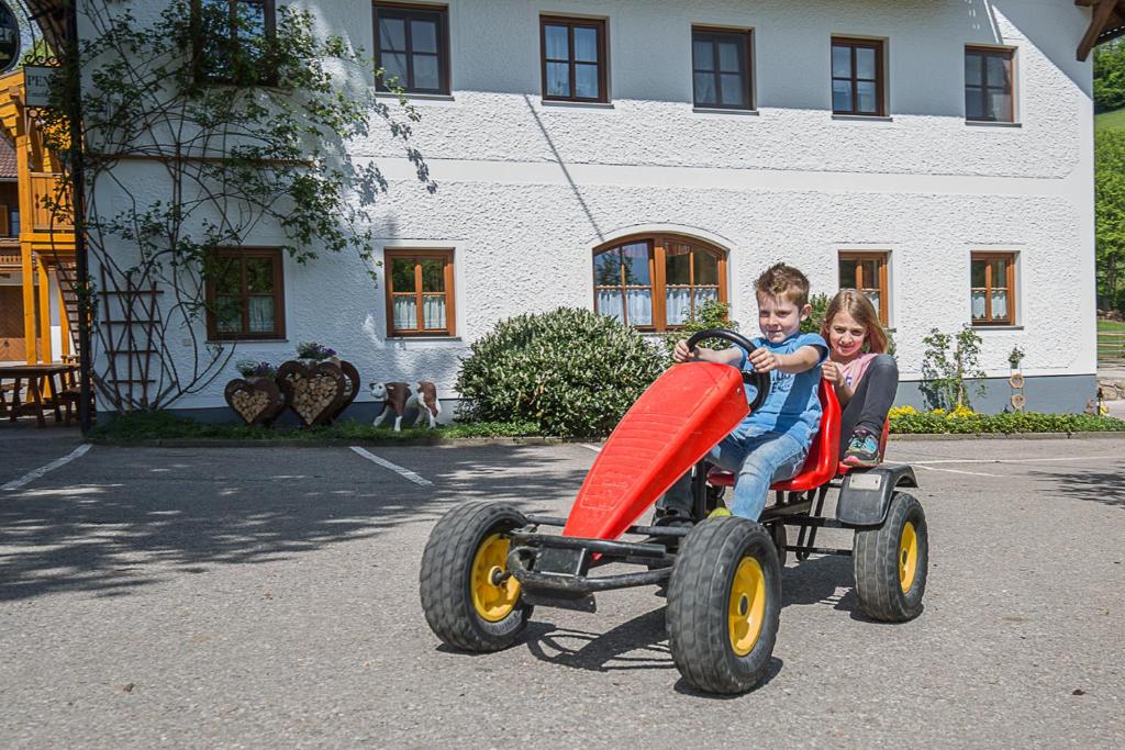 Hosté ubytování Ferienhof Pfaffenlehen