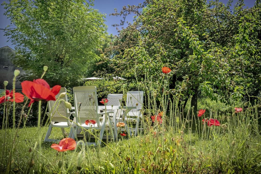Zahrada ubytování Logis Hôtel Restaurant Le Mont Aigoual