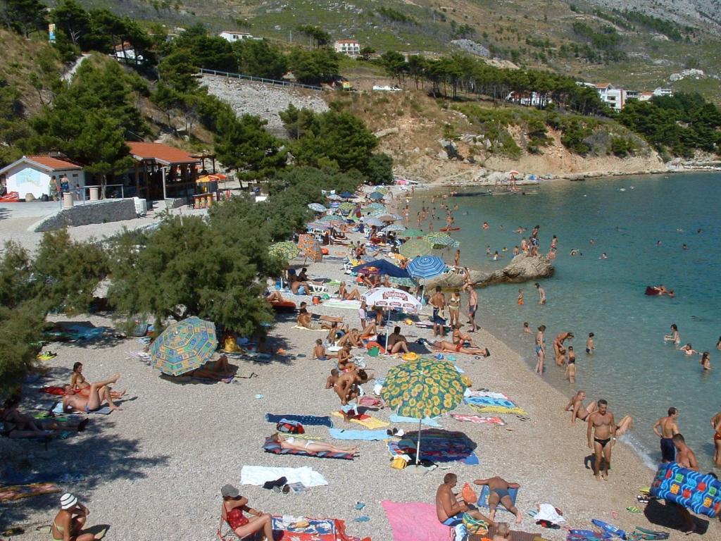 Príroda v okolí apartmánu