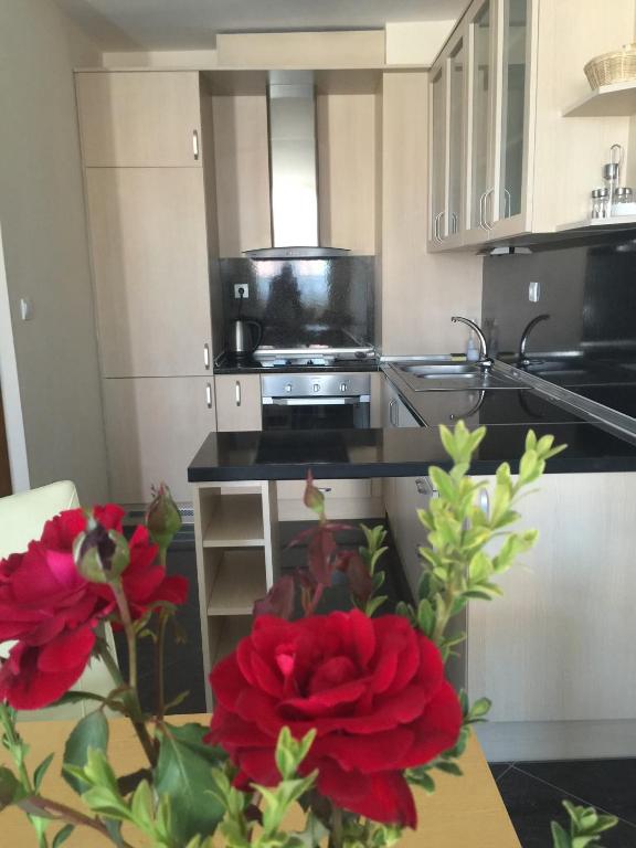 a kitchen with red flowers in a vase on a table at Apart Hotel Apolonia Palace in Sinemorets