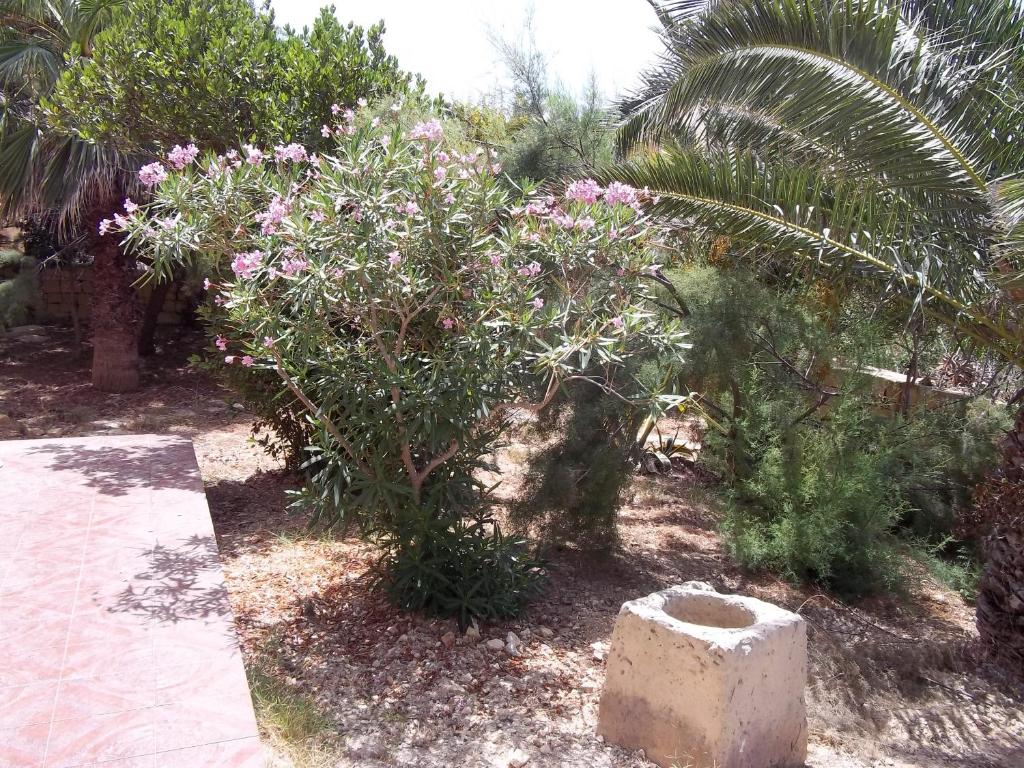 San Antonio Guesthouse - 16