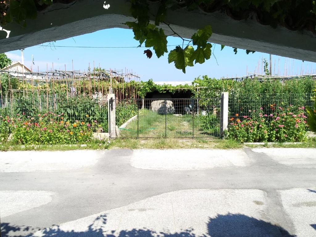 Vonkajšia záhrada v ubytovaní Grigorios Apartments