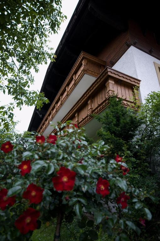 Zahrada ubytování Haus Egger