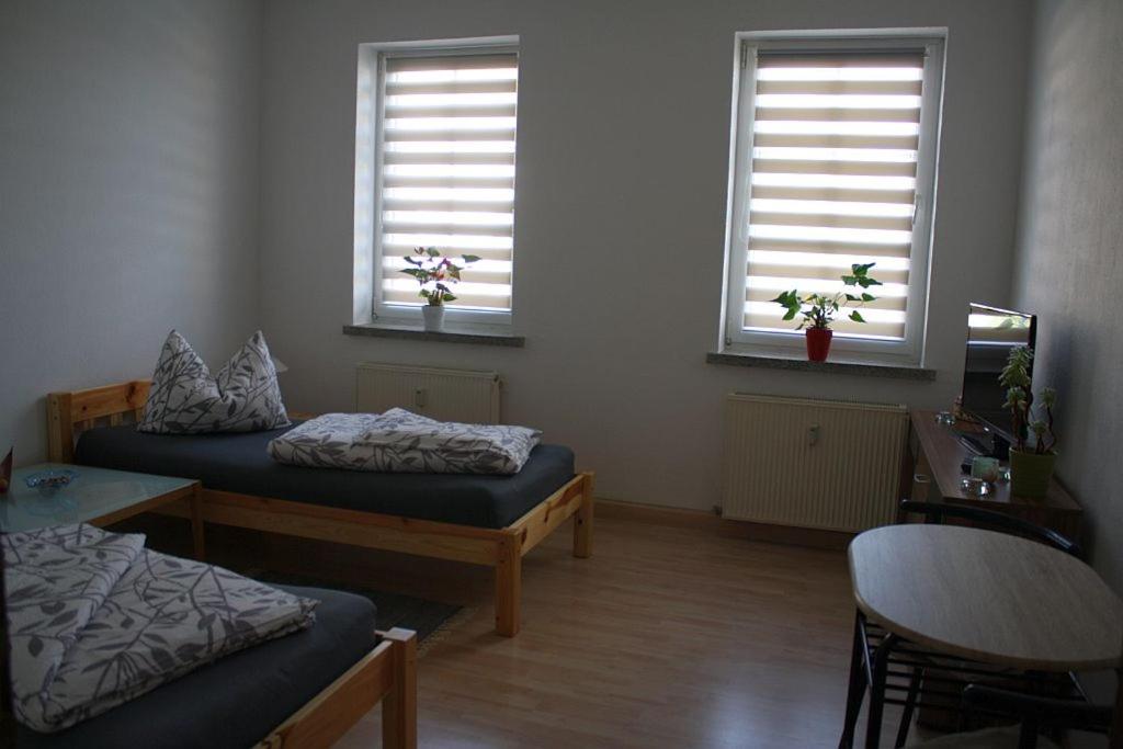 a room with two beds and two windows at An der Alten Schule 2 in Oelsnitz