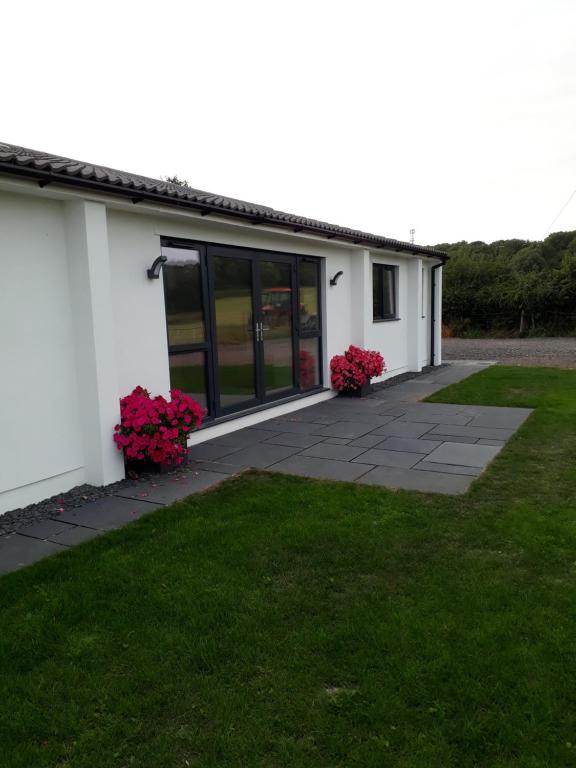 ブリストルにあるFoxholes Accommodationの庭のピンクの花の白い建物
