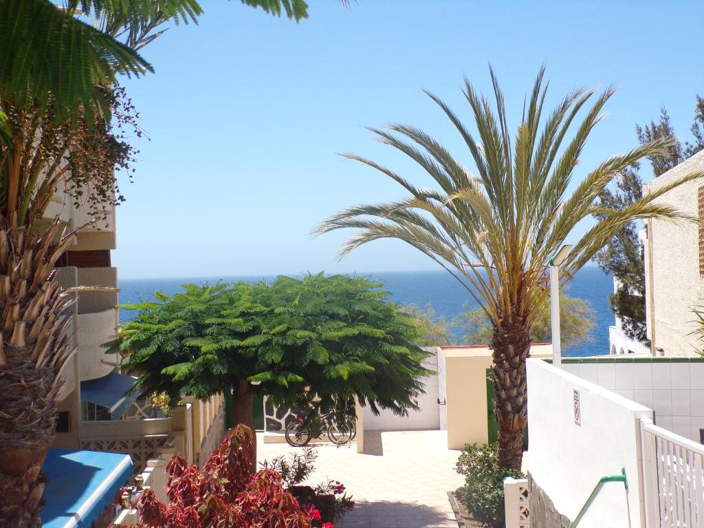 uitzicht vanaf het balkon van een gebouw met palmbomen bij La Colina in San Agustin