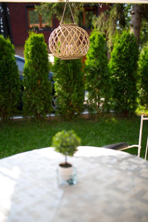 Zahrada ubytování Apartments Cvetkovic Relax