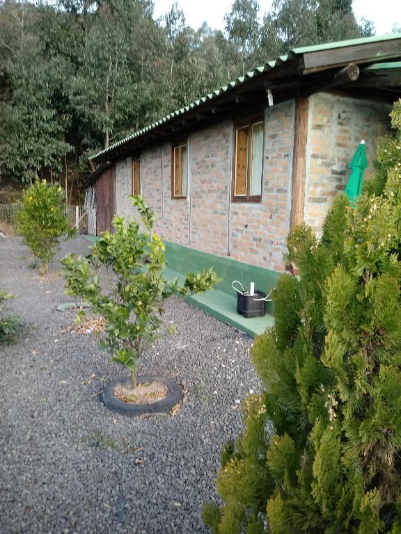  Casa Aconchegante em Urubici