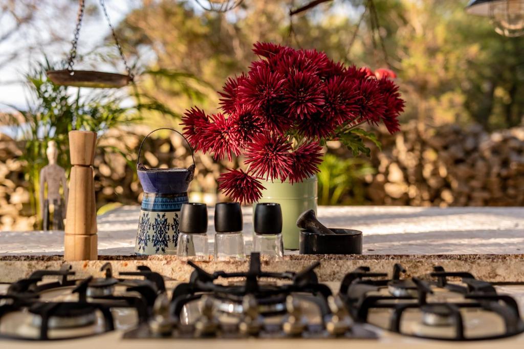 Um jardim no exterior de Plage Cachée - Glamping