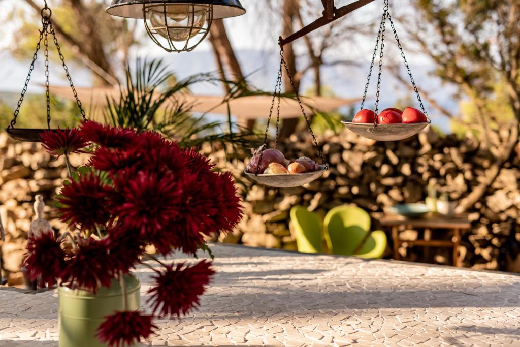 Um jardim no exterior de Plage Cachée - Glamping