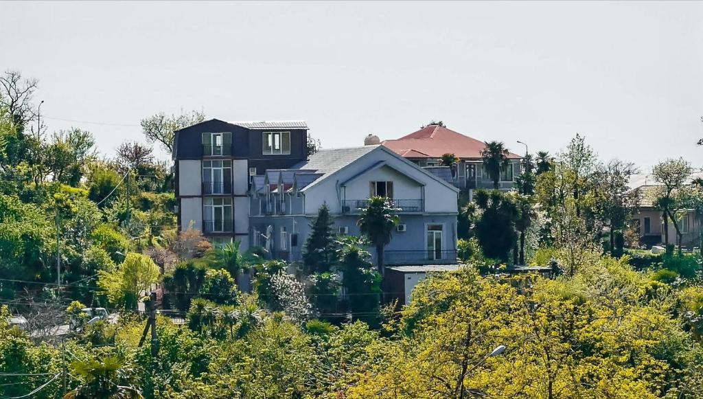 una casa en la cima de una colina con árboles en Irakli Guest House, en Makhinjauri