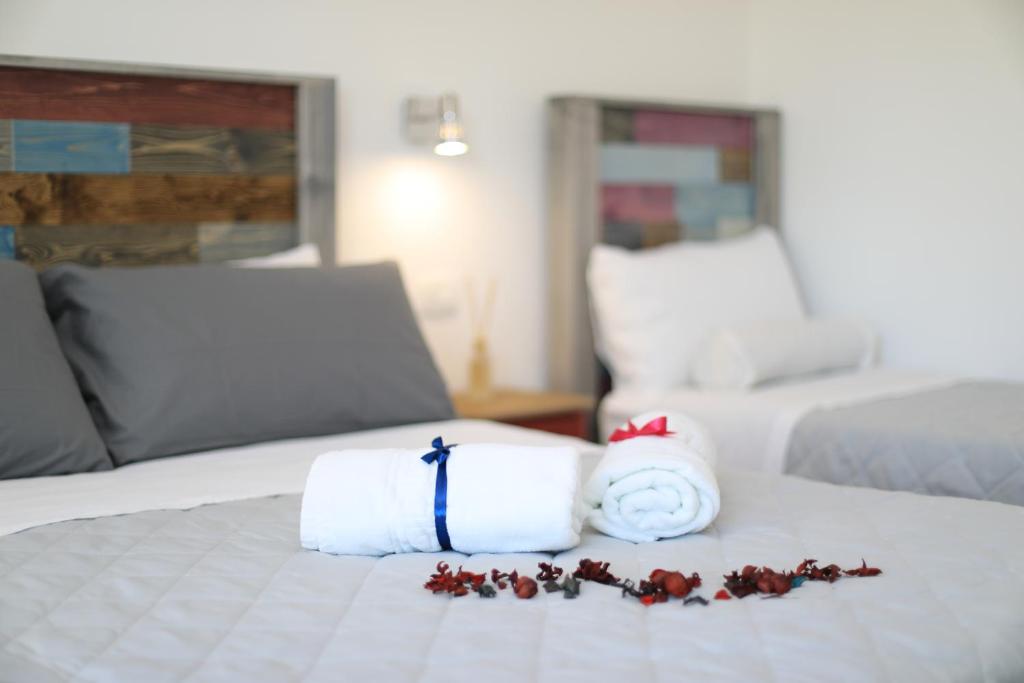 L'Ulivo e la Stella - 12