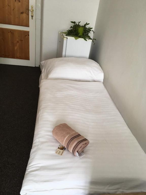 Postel nebo postele na pokoji v ubytování Hotel Jordánek