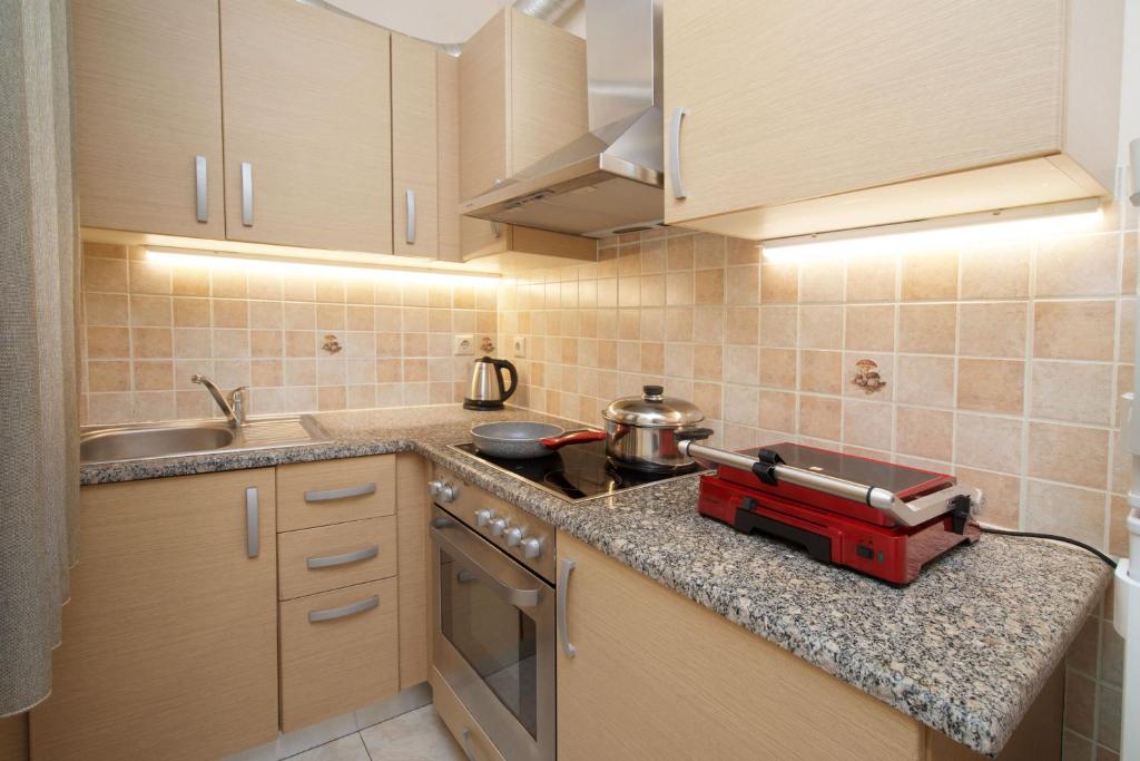Kuchyň nebo kuchyňský kout v ubytování Apollon Apartment In Argostoli