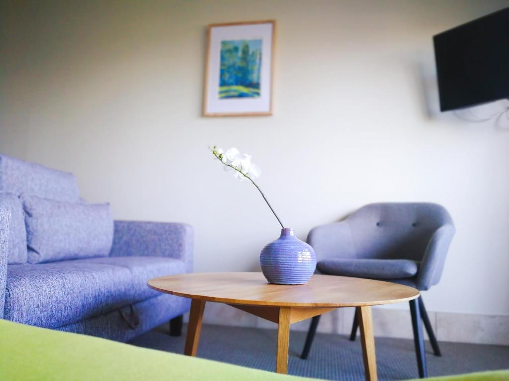 TV a/nebo společenská místnost v ubytování Le Chalet Suisse Motel Taupo
