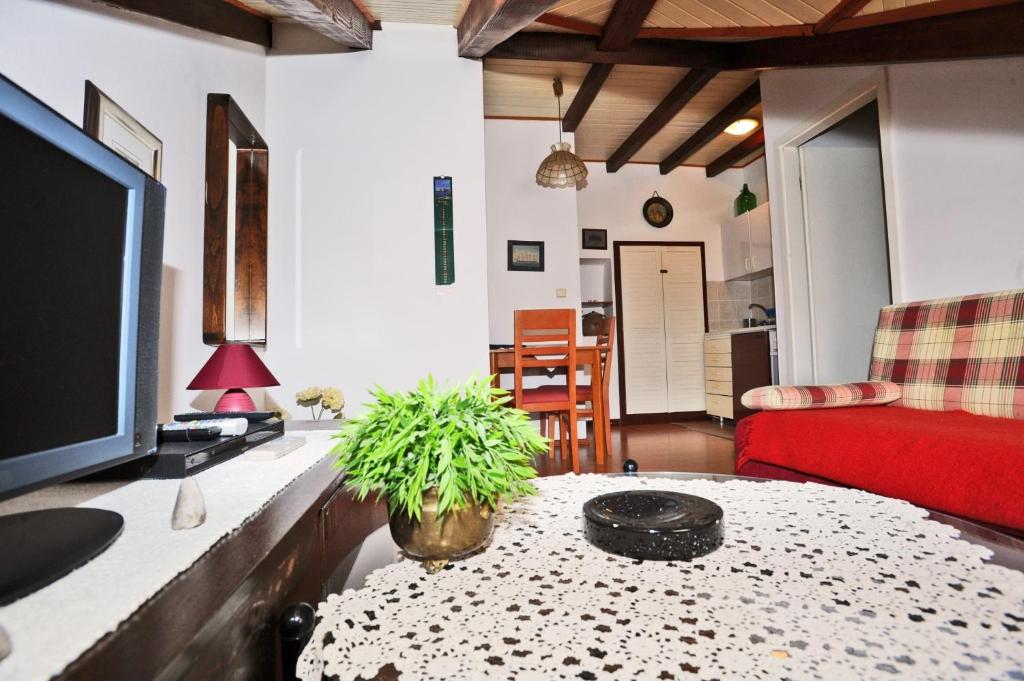 TV a/nebo společenská místnost v ubytování Apartment Maja