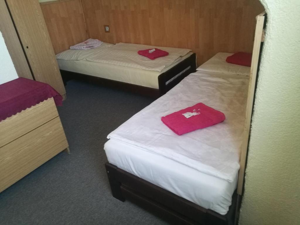 Postel nebo postele na pokoji v ubytování Hotel Chata