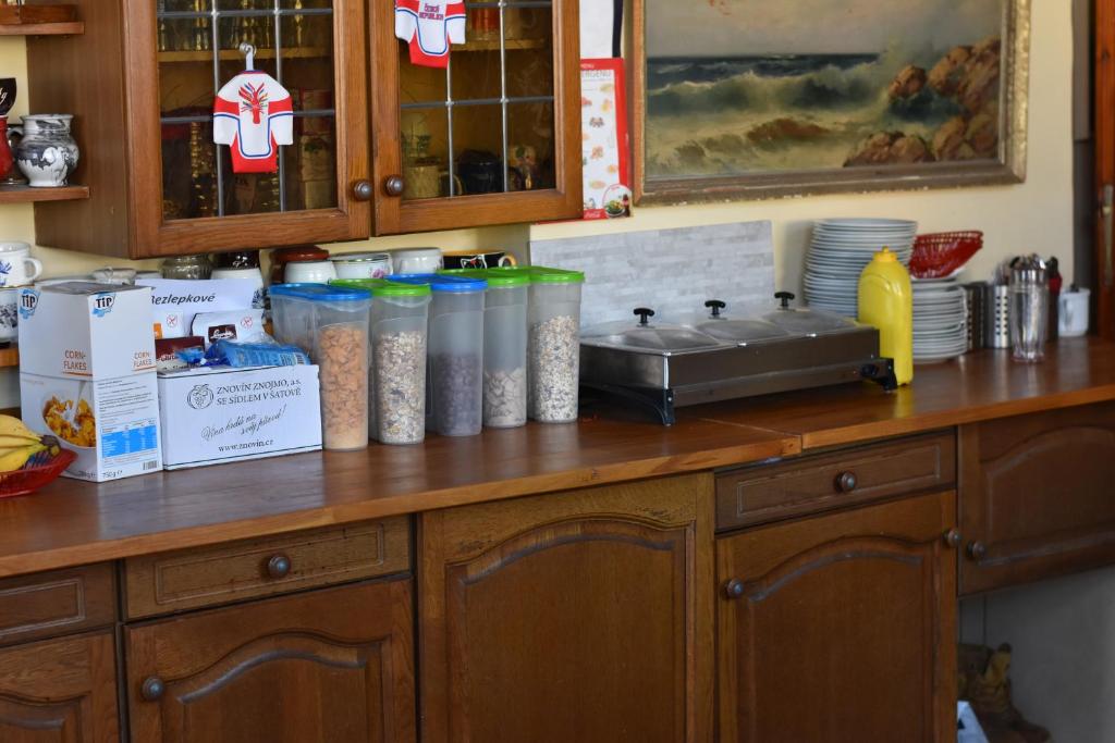 Kuchyň nebo kuchyňský kout v ubytování Hotel Chata
