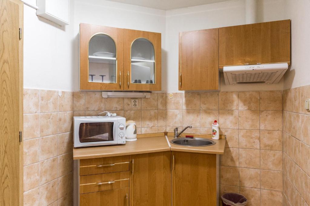 Kuchyň nebo kuchyňský kout v ubytování Apartmány Zadní mlýn