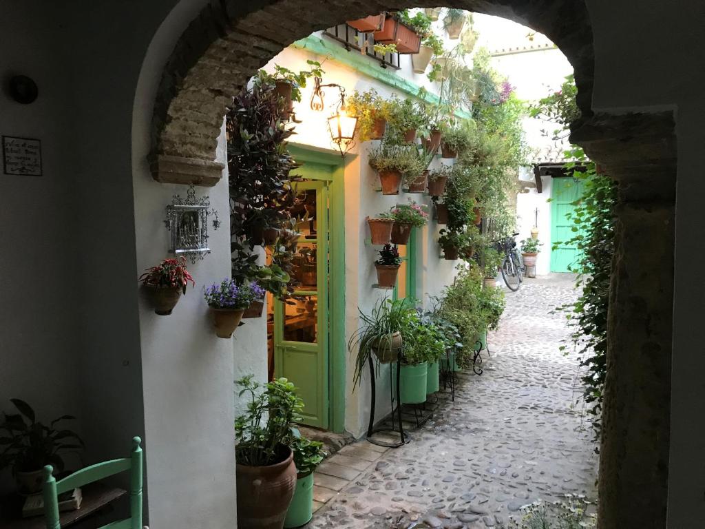 an alley with potted plants and a green door at La Casa de la Costurera in Córdoba