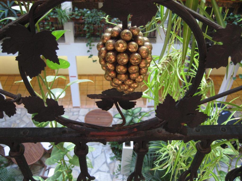 Zahrada ubytování Solitaire Hotel