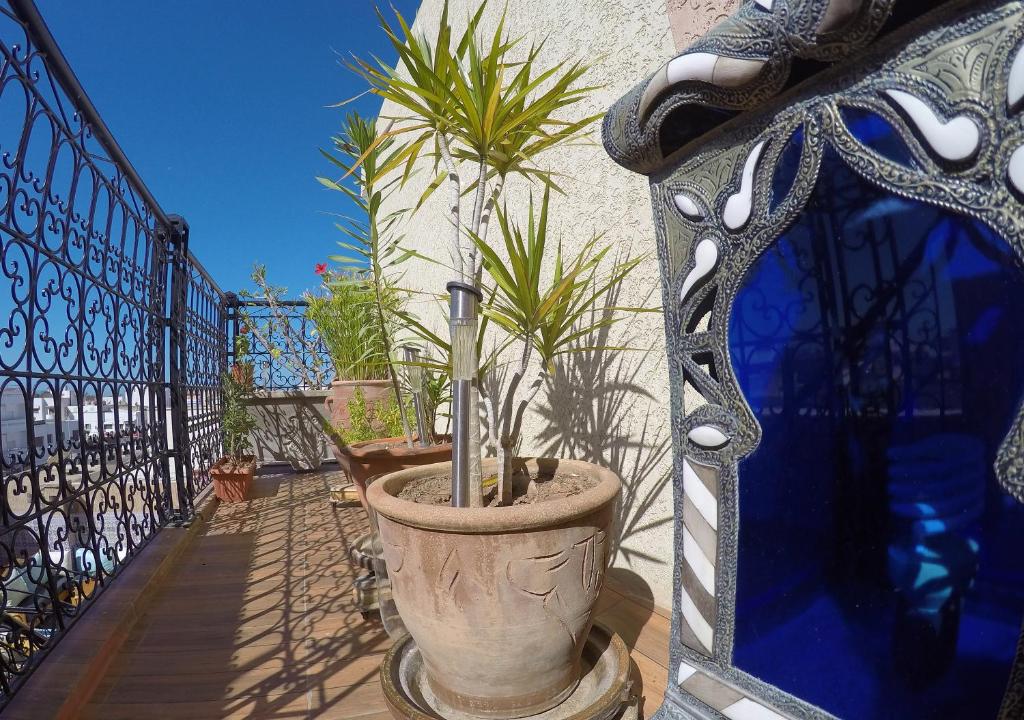 a large pot with plants in it next to a fence at Riad Les Chtis D'Agadir in Agadir