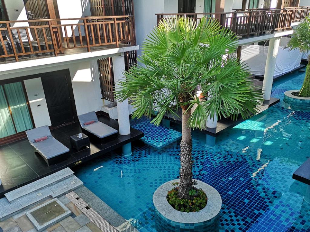 Z Through By The Zign - Resim 19