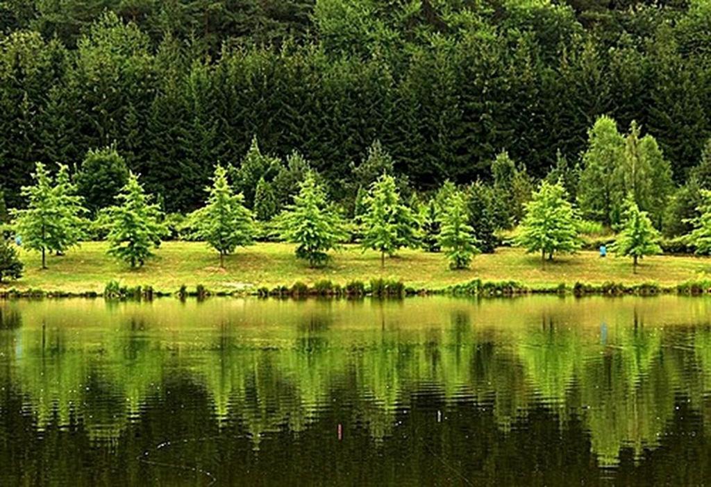 un reflejo de árboles en un cuerpo de agua en Tavi Vendégház, en Szentgotthárd