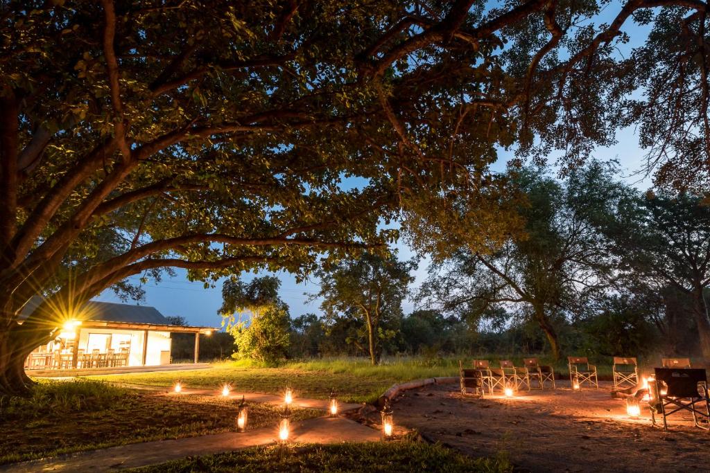 un groupe de tables et de chaises sous un arbre la nuit dans l'établissement Makuwa Safari Lodge, à Mbabat