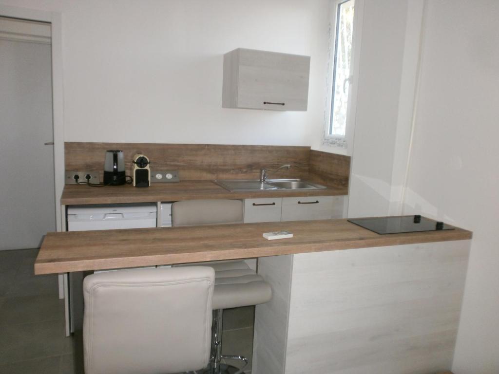 uma cozinha com um lavatório e uma bancada em Meublé de Tourisme 2 étoiles Chemin de la Sposata em Ajaccio
