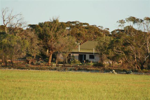 una casa frente a un campo con árboles en Sandalmere Cottage en Cadell