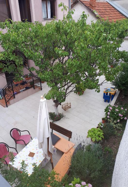 Zahrada ubytování Hostel Bojo