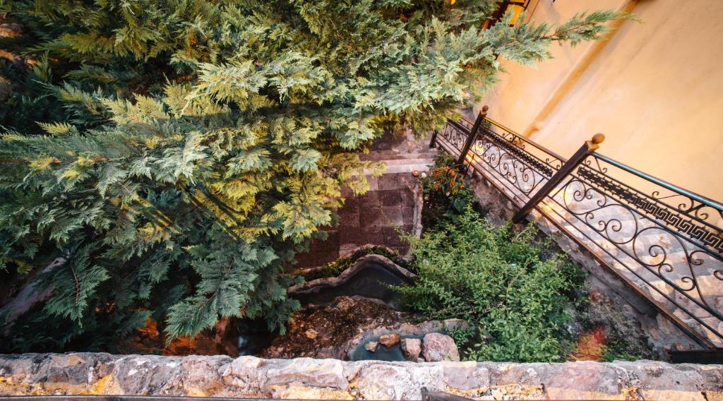 Zahrada ubytování Rigas Pension Nafplio