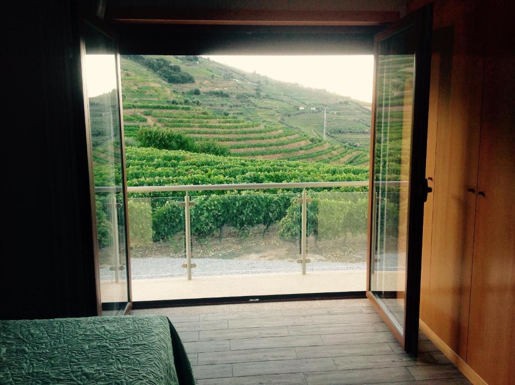 Quinta Pecêga - AL - 8