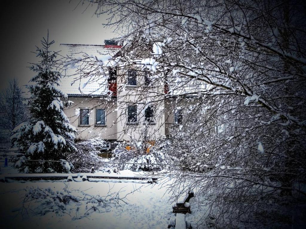 ランツコロナにあるAgroturystyka U Maciejowejの雪屋根の家