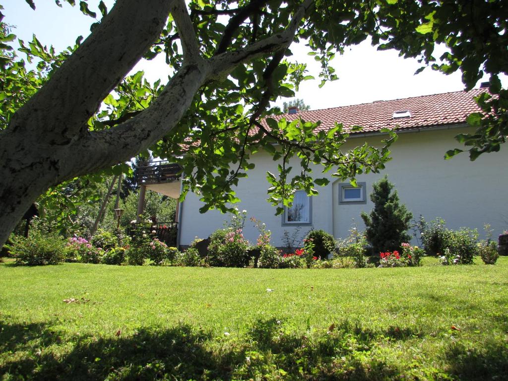 una casa blanca con un patio con un árbol en Apartment Špehar, en Selište Drežničko