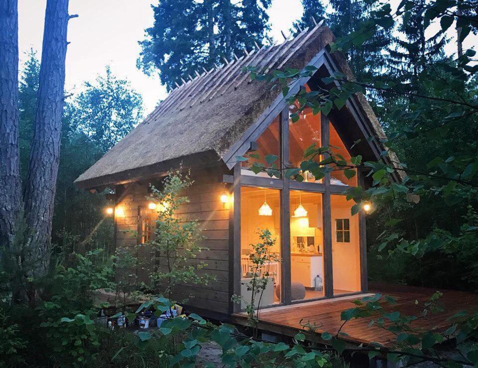 a small cabin in the middle of a forest at Tahkuna Forest House in Kõrgessaare