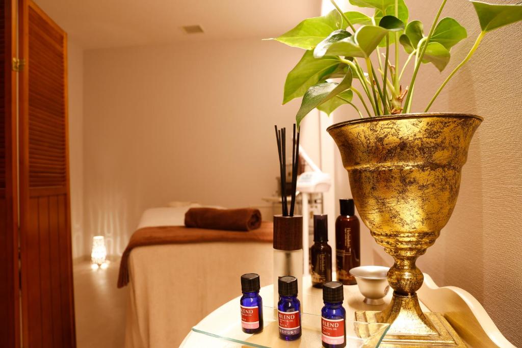 Lázně a/nebo wellness v ubytování SPA TERRACE Shisui