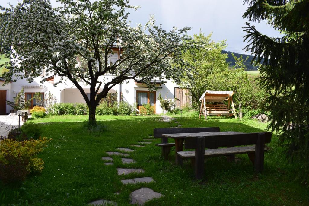 Appartments Helvetia - Apartment - Ground Floor