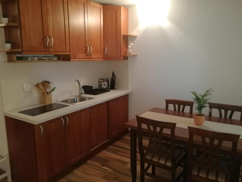 uma cozinha com um lavatório e uma mesa com cadeiras em Apartment Brne em Postojna