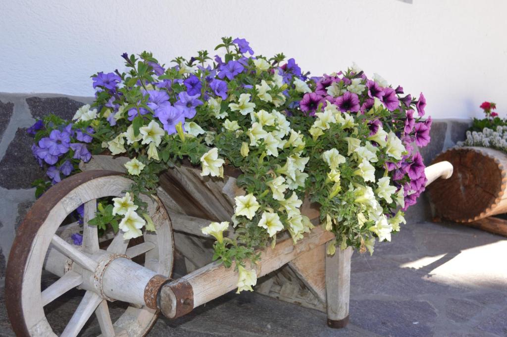 Ogród w obiekcie Agriturismo Anví