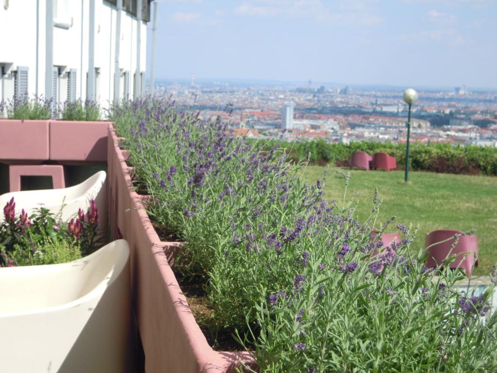 einen Garten mit lila Blumen auf einem Gebäude in der Unterkunft Palace Hostel Vienna in Wien