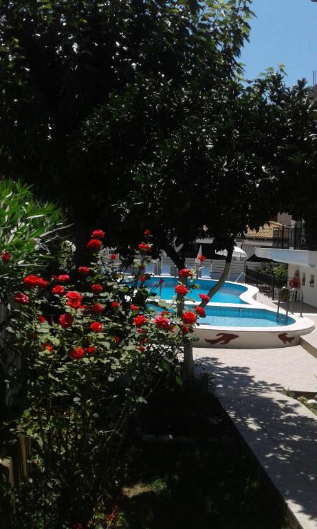 The swimming pool at or close to Oasis