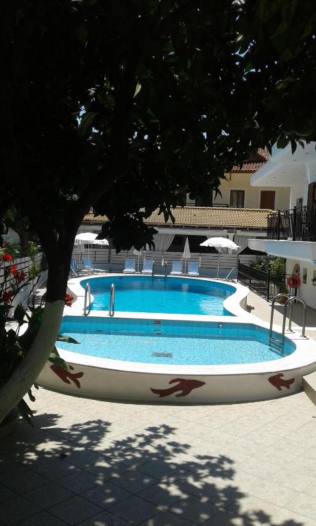 The swimming pool at or close to Oasis