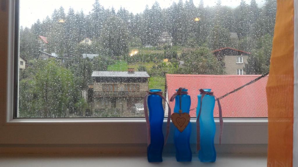 a window with four blue olympic medals on a string at Hołcyna in Brenna